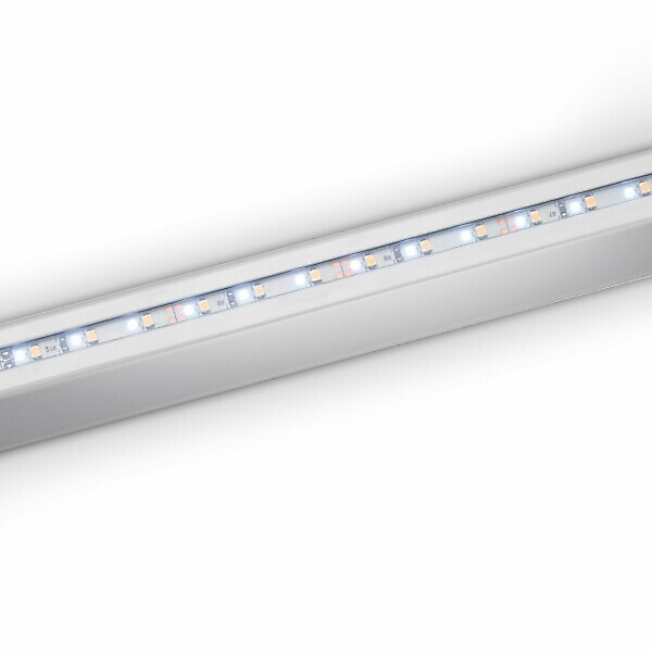 RAINTEC RT100 LED LIGHT, WHITE - Image 2