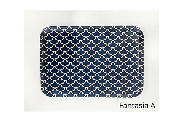 TRAY 45X31X2